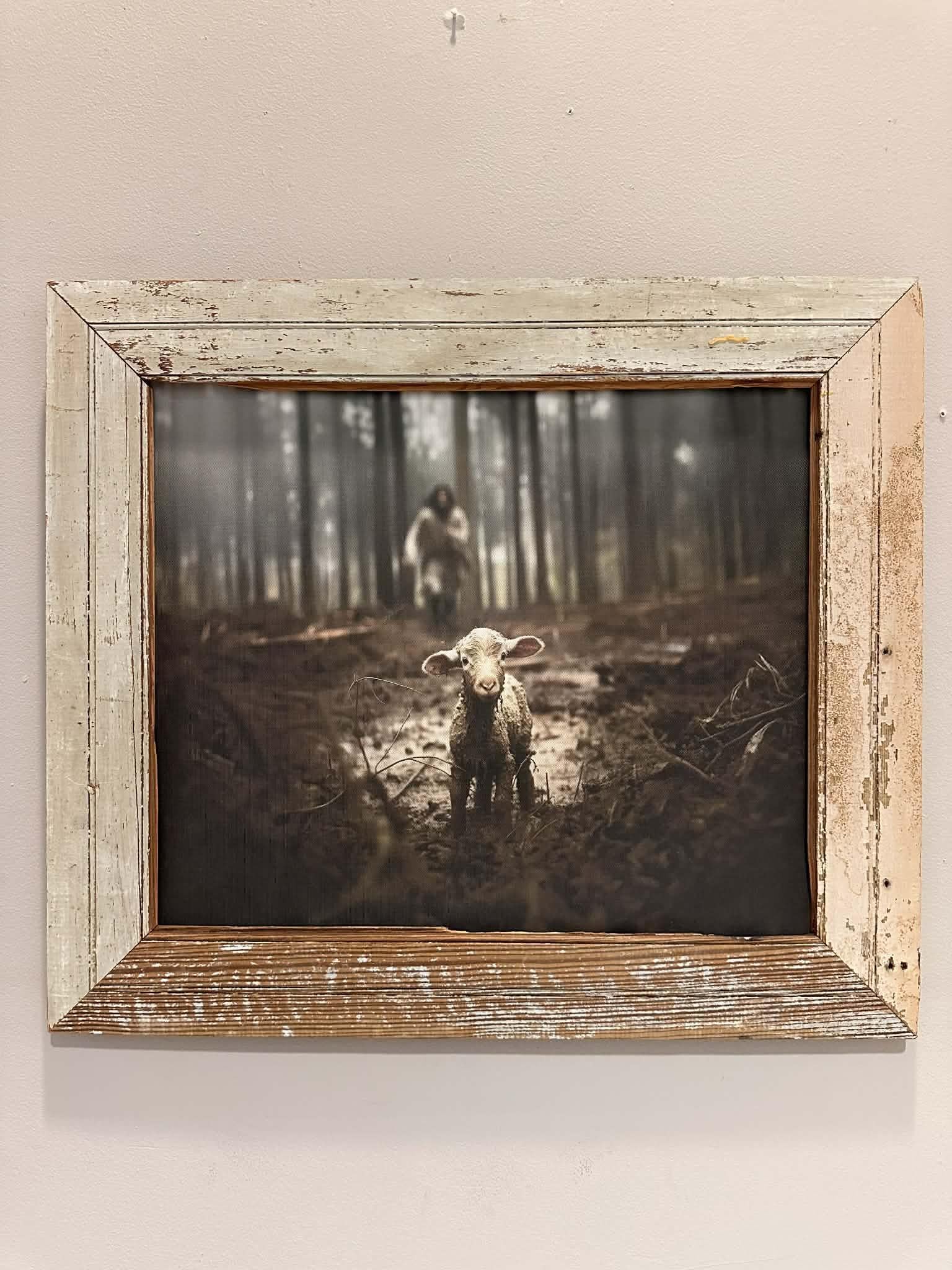 Sunday Paper - Parable of The Lost Sheep Picture