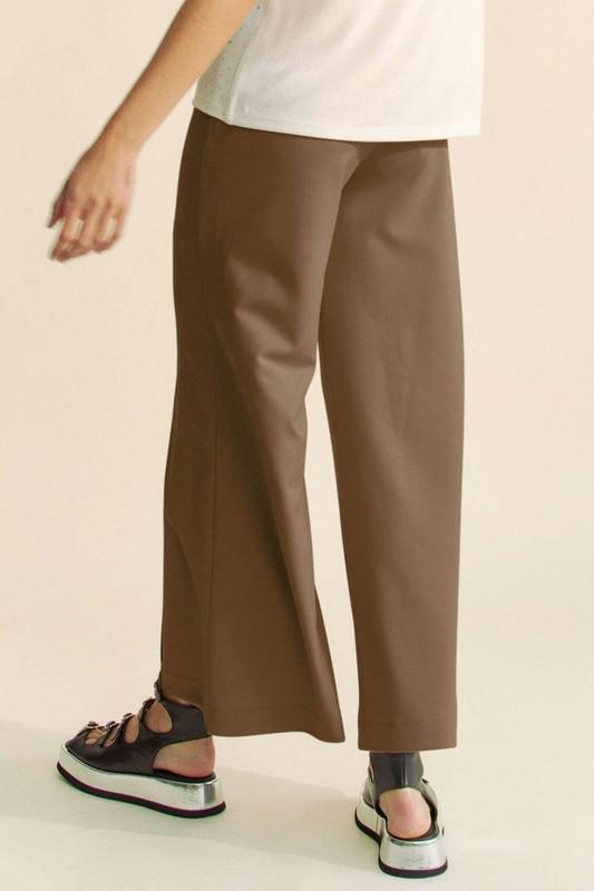 Ash Brown Pleated Pants