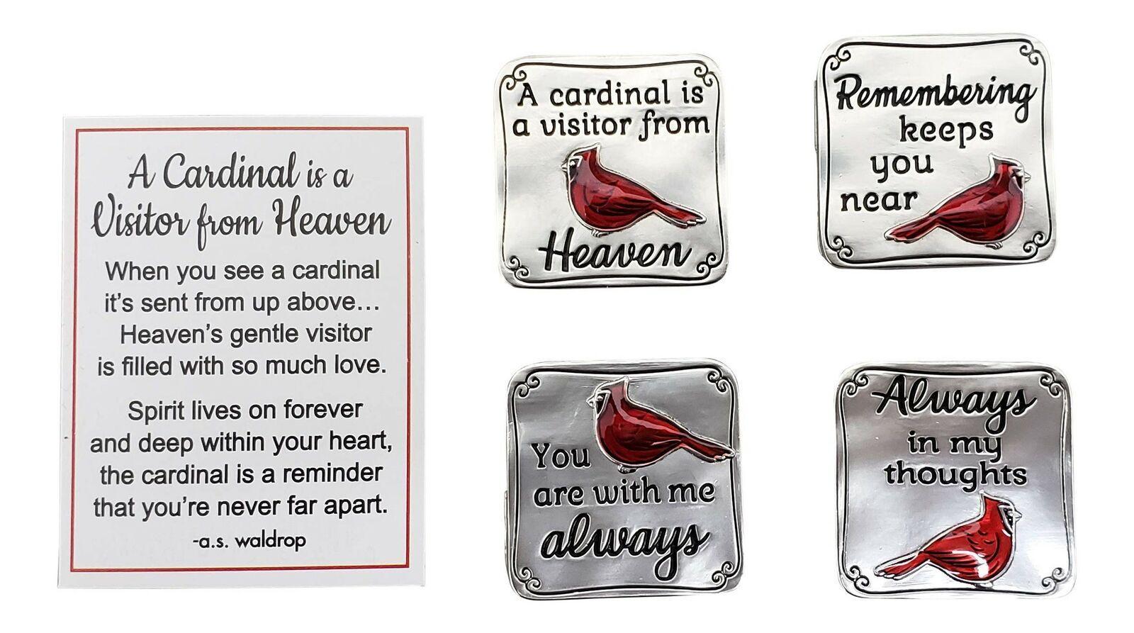 A Cardinal Visitor From Heaven Pocket Token