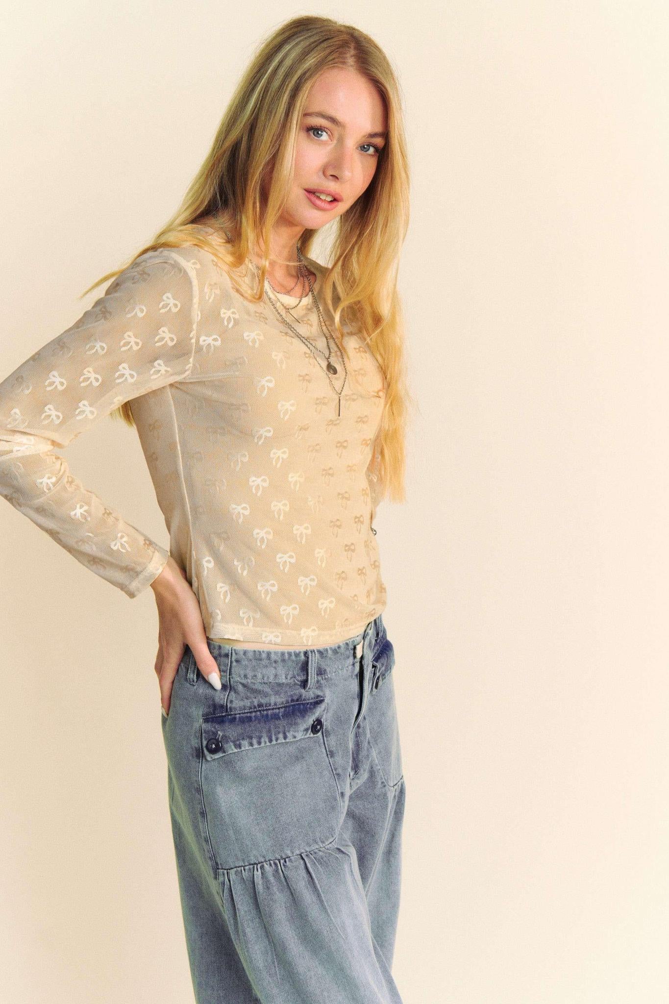 Ribbon Embroidered Long Sleeve Mesh Top
