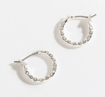Silver Hoop With Stone Earrings
