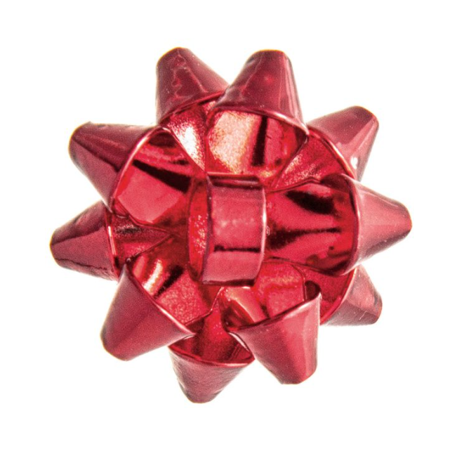 Christmas Rain Earrings