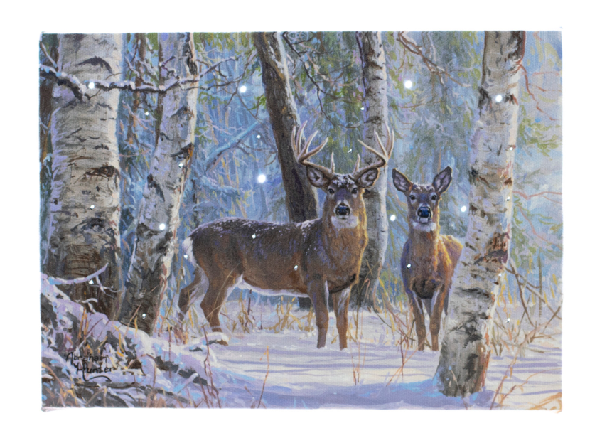 Lighted Deer Picture