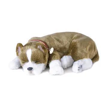 Perfect Petzzz Originals