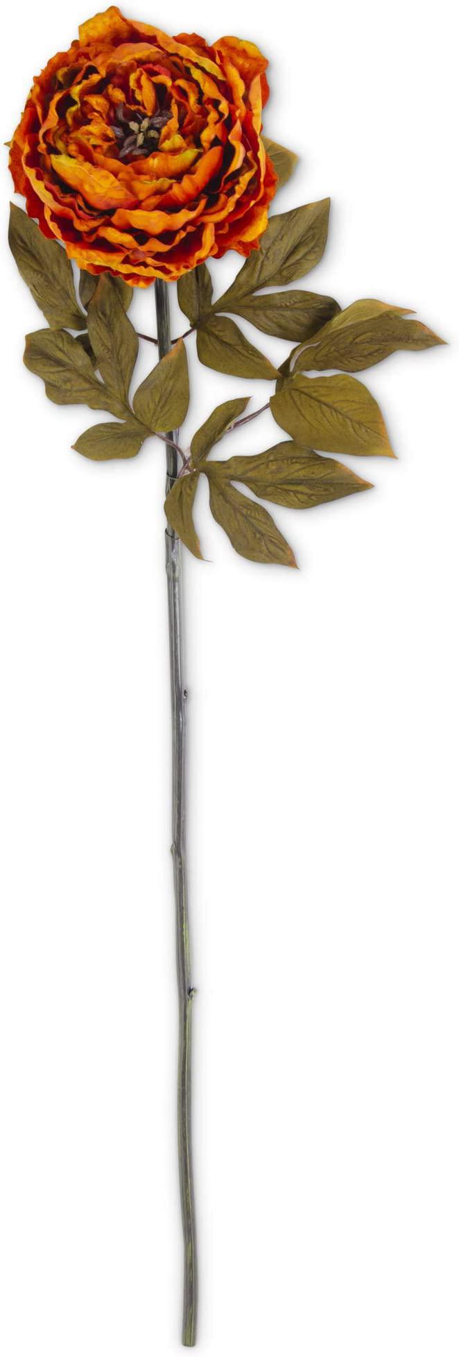 30" Rusty Orange Peony Stem