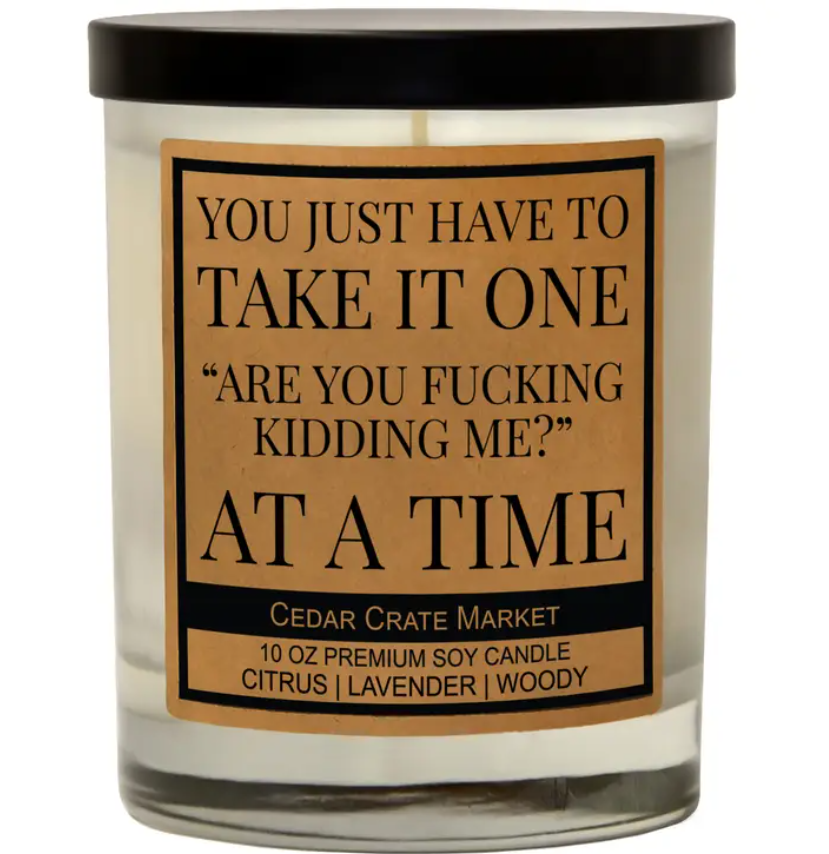 You Have To Take It One Are You Fucking Kidding Me At A Time Candle