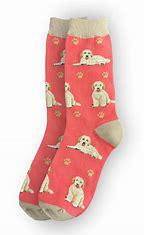 Goldendoodle Socks