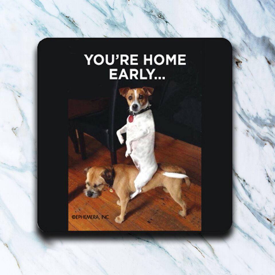 Home Early Coaster