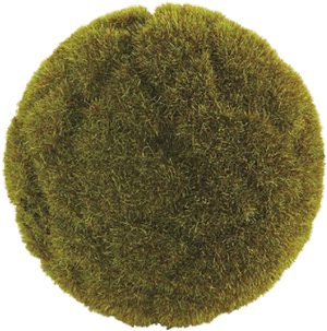 Moss Ball