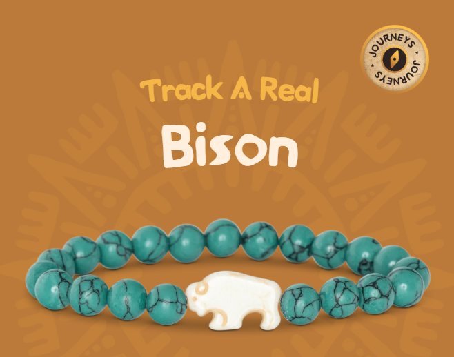 Fahlo - The Roam Bracelet