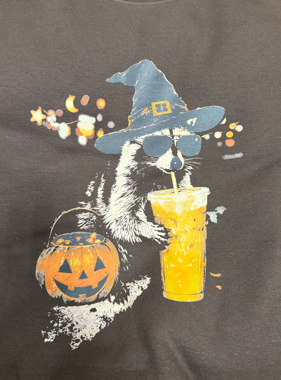 Raccoon Witch Sweatshirt