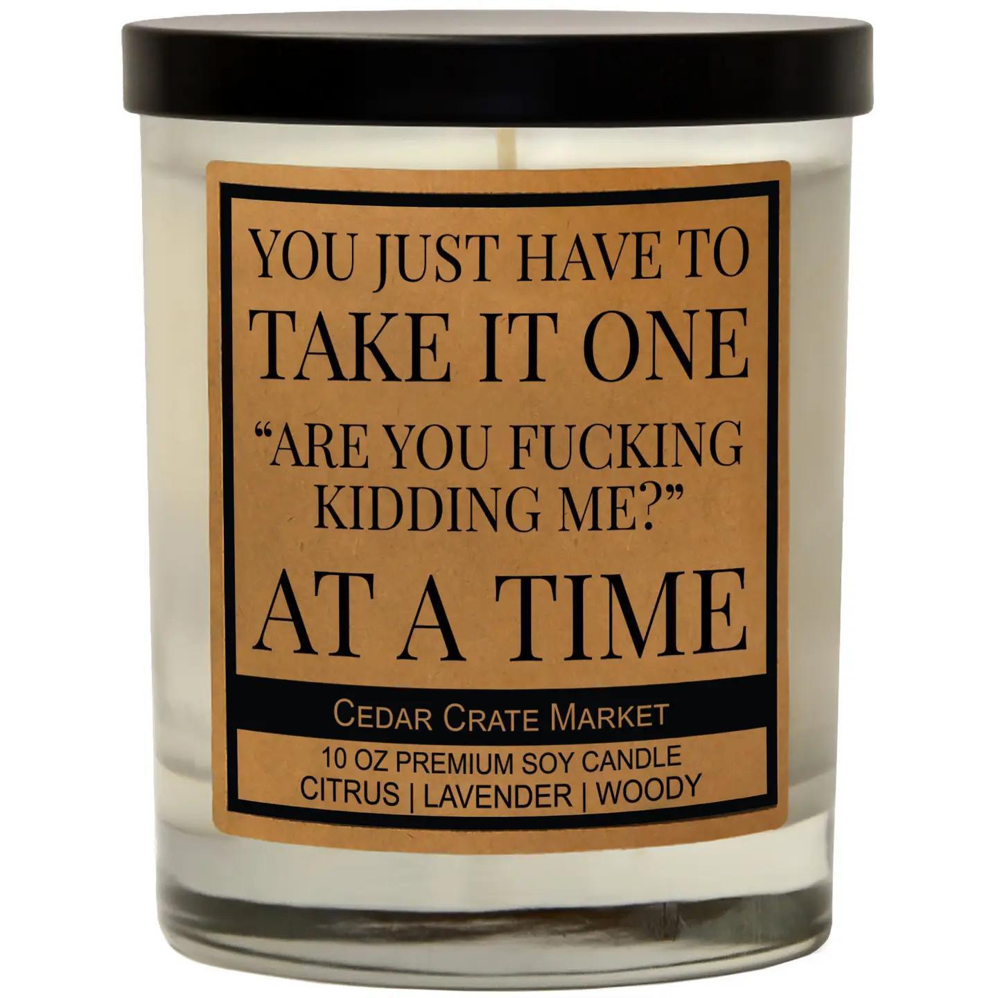 Take It One Are You Fucking Kidding Soy Candle