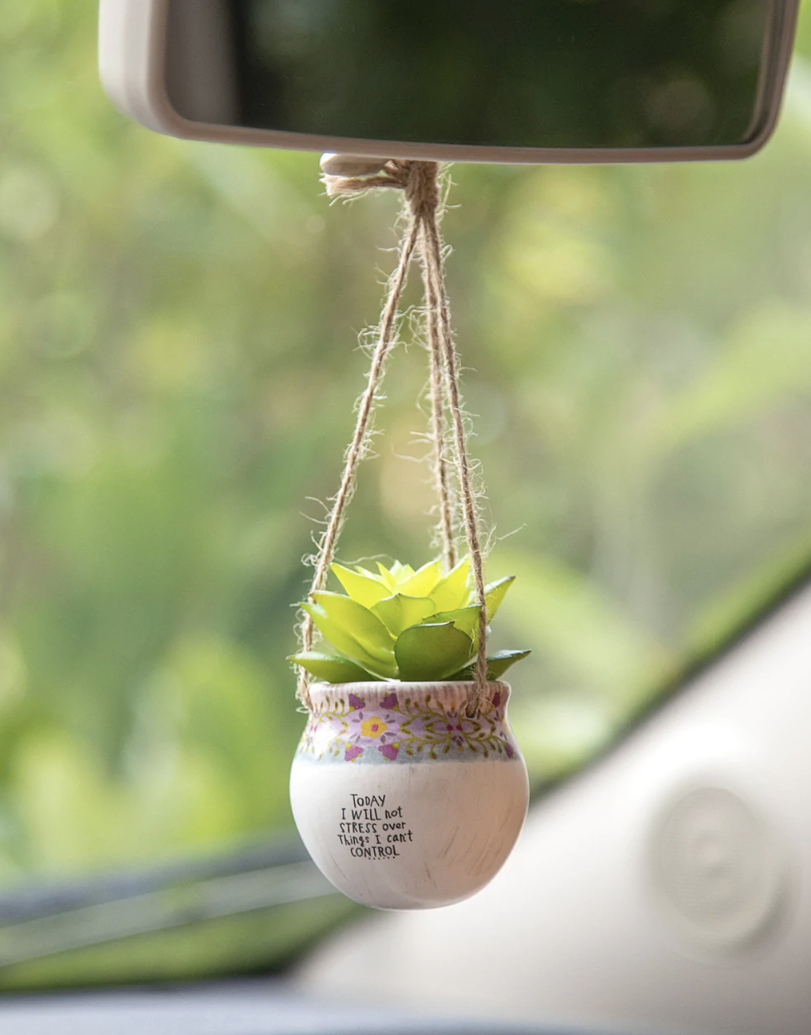 Today I Will Not Stress Hanging Succulent