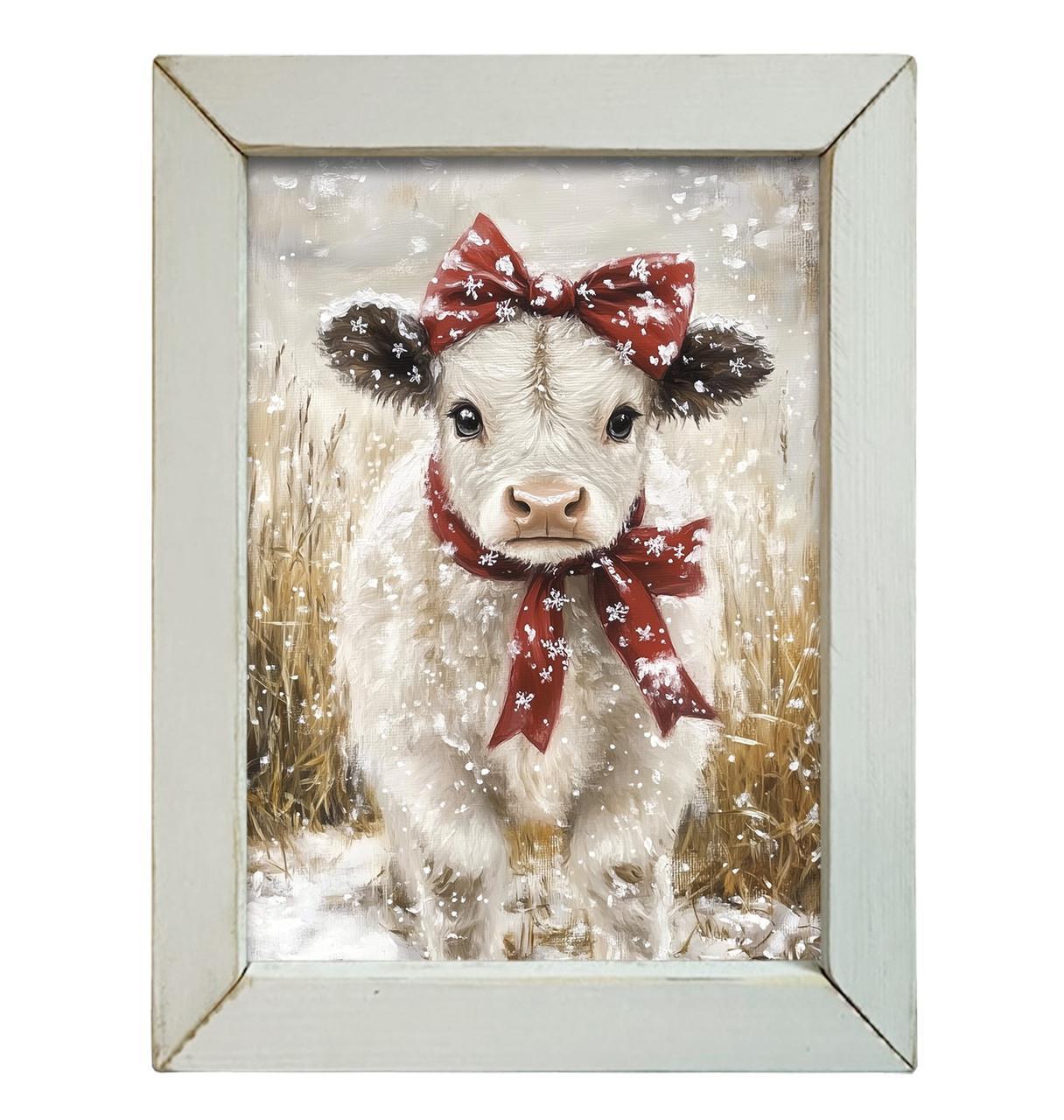 Snowy Mable the Calf Picture