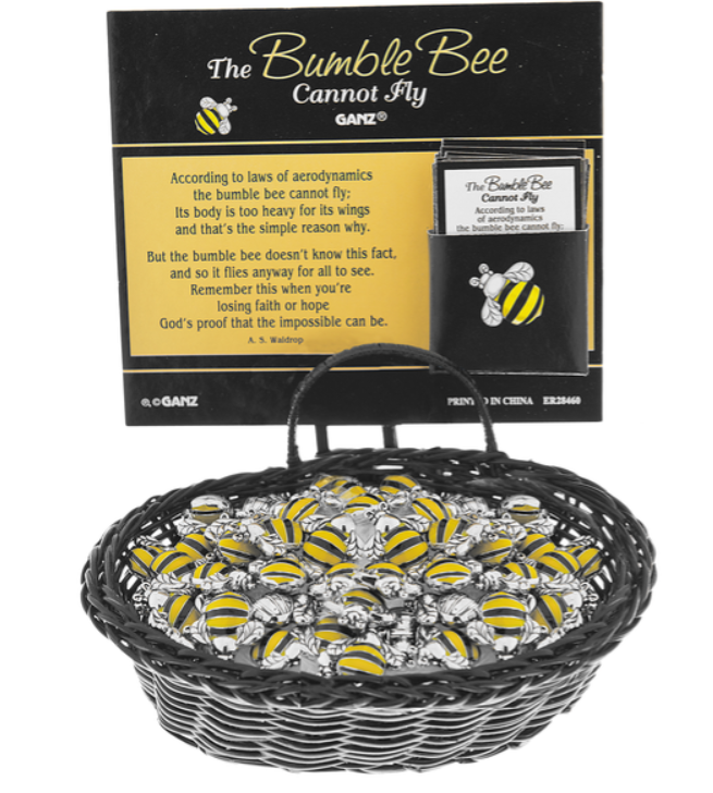 The Bumble Bee cannot fly