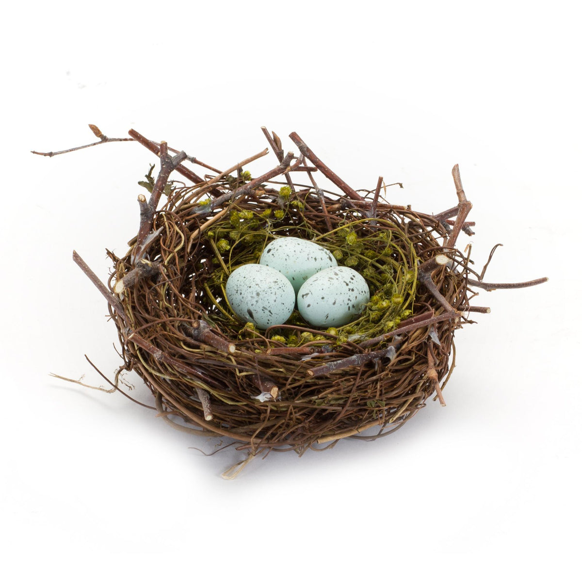 Nest W/ Eggs