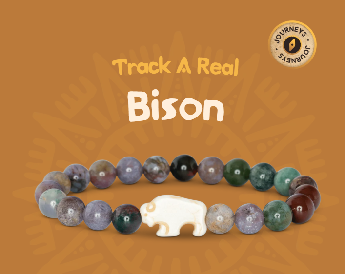 Fahlo - The Roam Bracelet