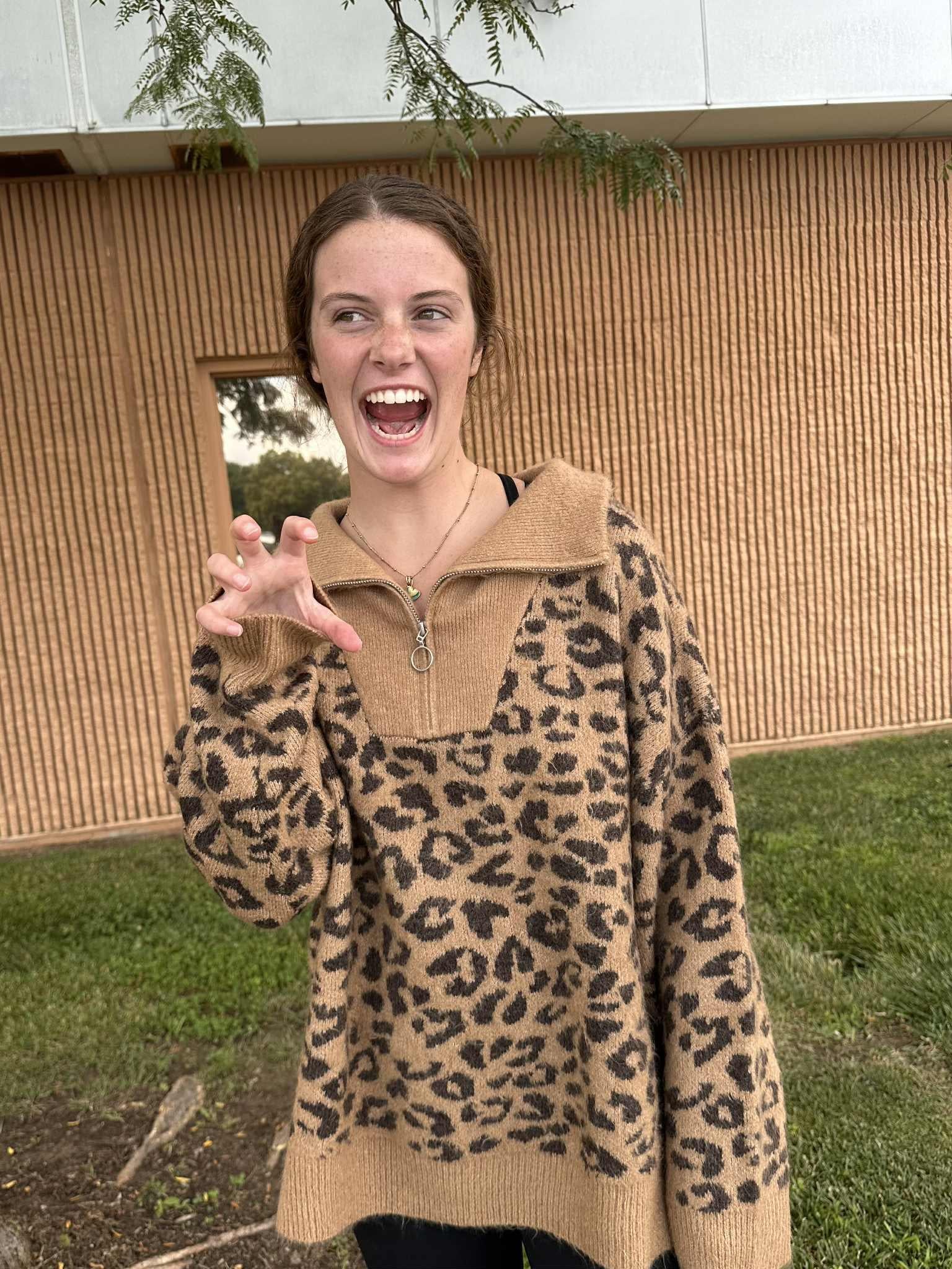 Leopard Pullover