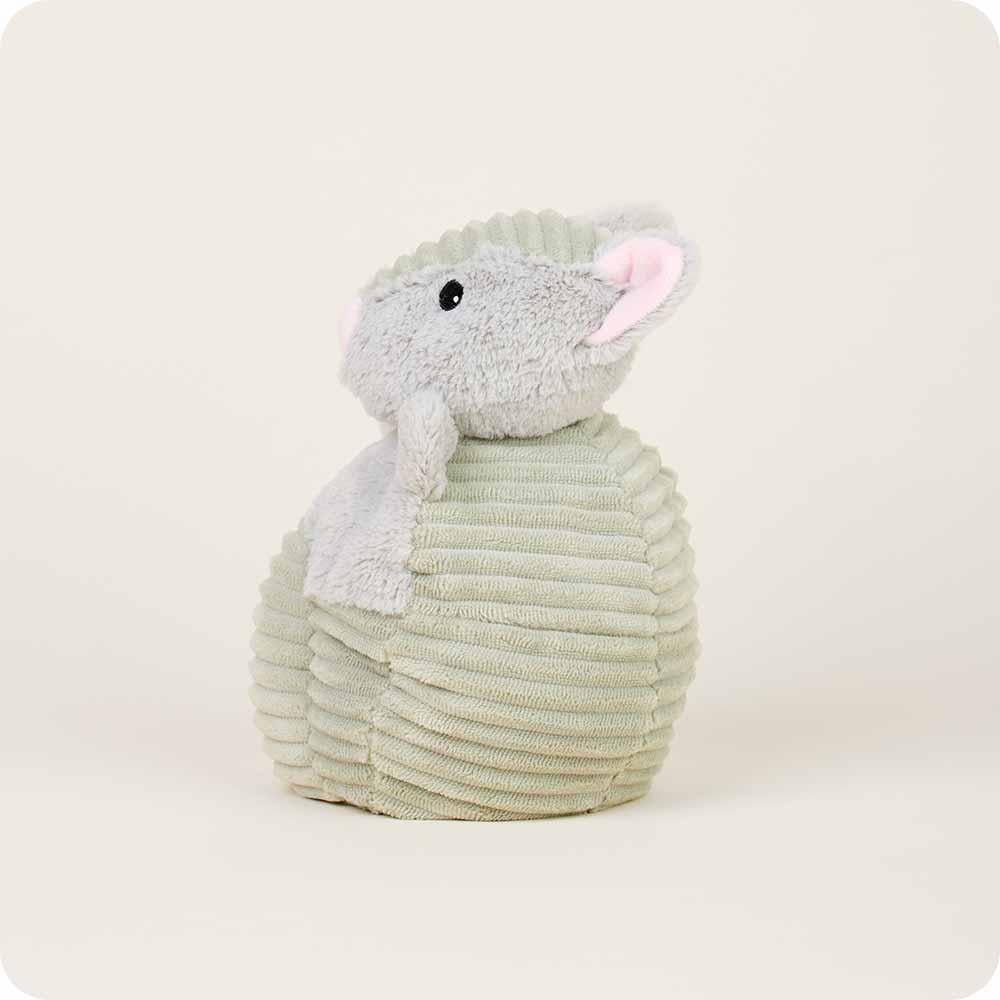 Armadillo Warmie