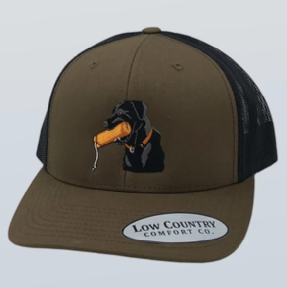 Dog Training Toy Hat
