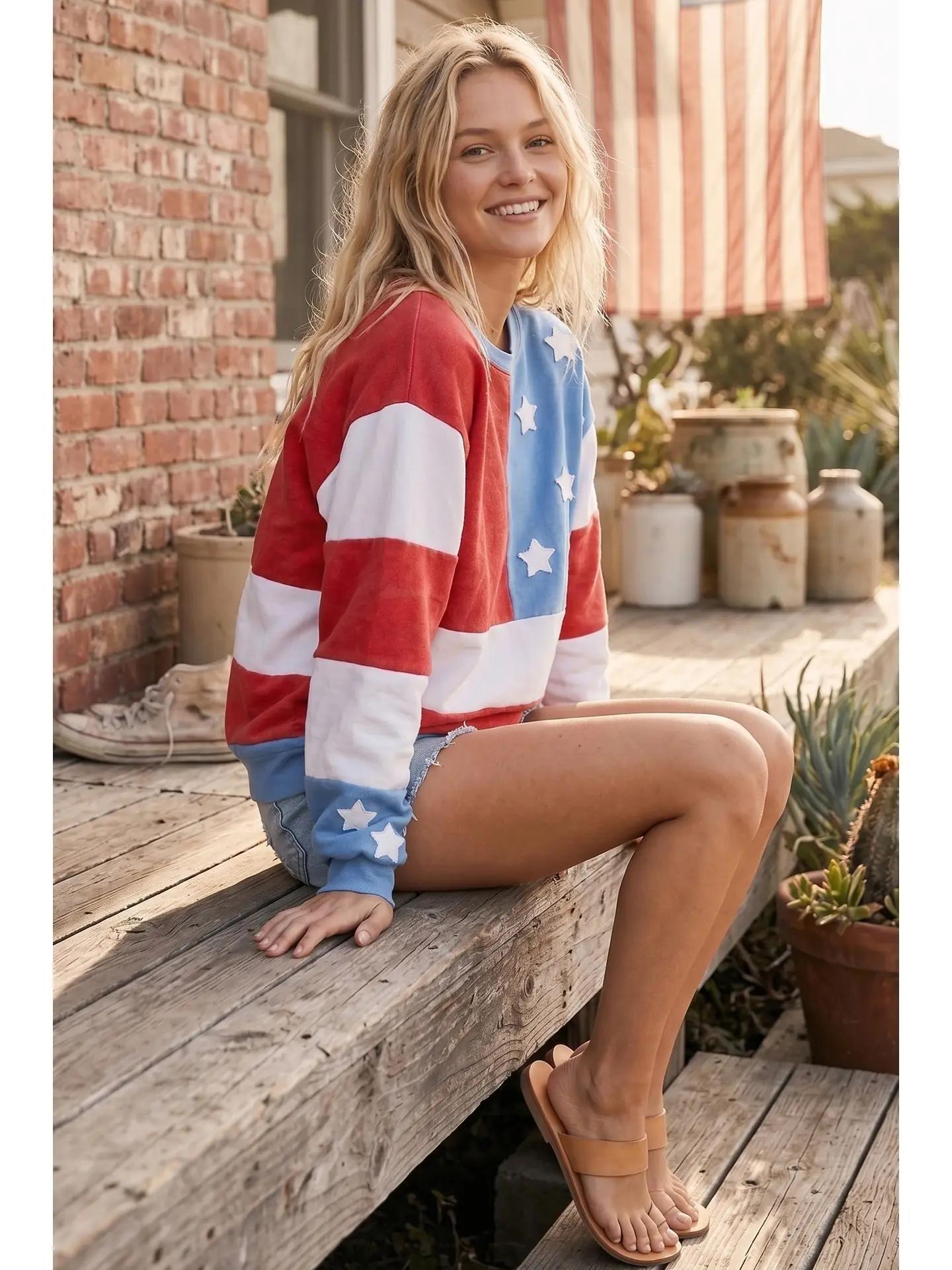 Mineral Washed Americana Flag Sweatshirt