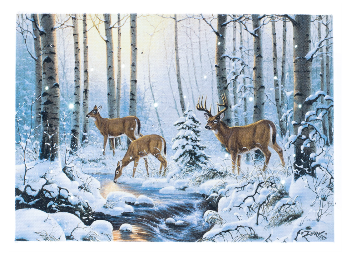 Lighted Deer Picture