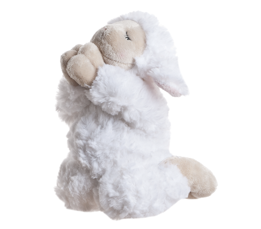 Inspirational Praying Lamb