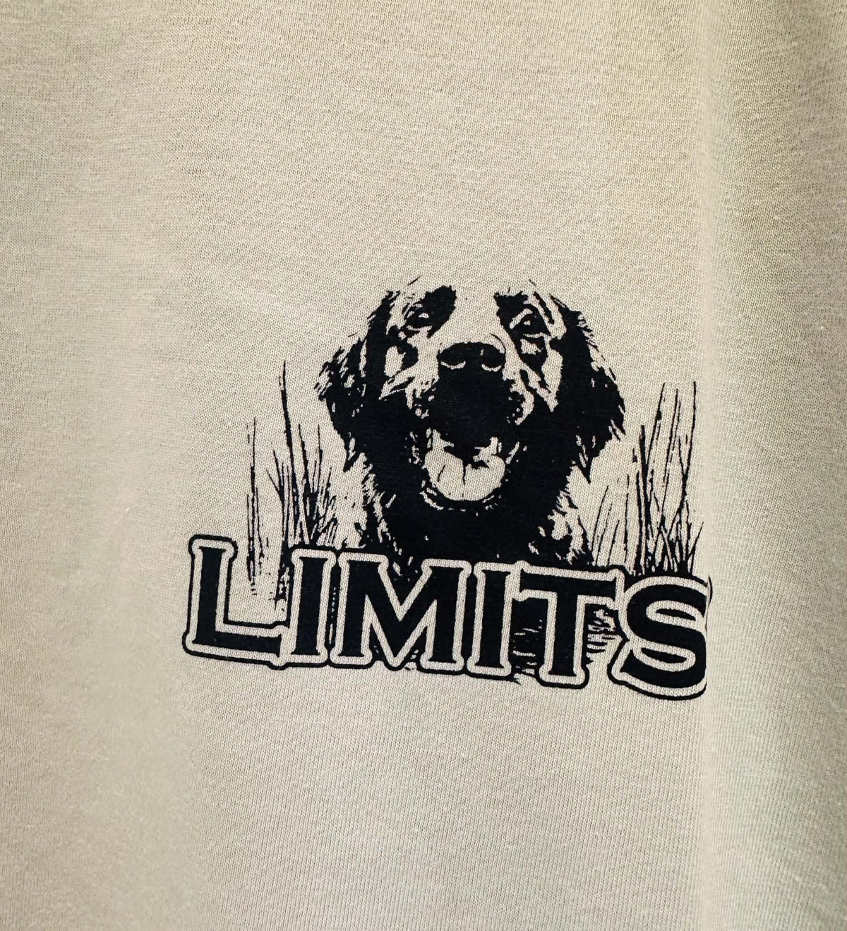 Limits Wingman Tee - Spring River