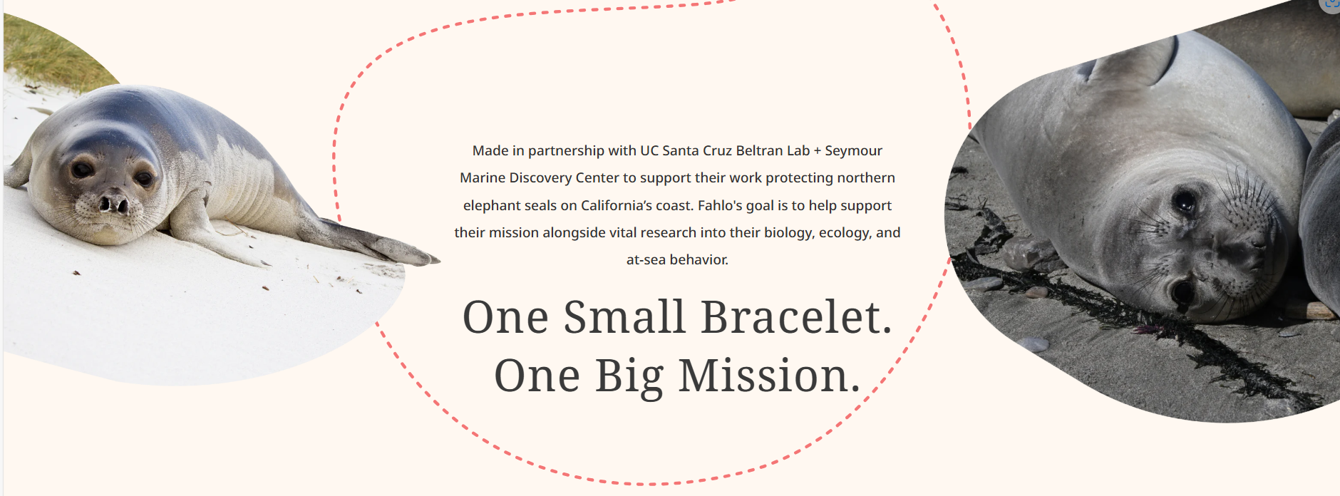 Fahlo - The Glide Bracelet