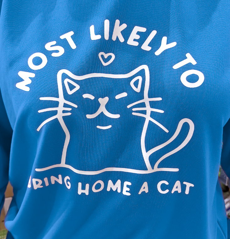 Bring Home A Cat