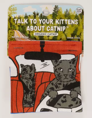 Talk To Your Kittens Catnip Toy