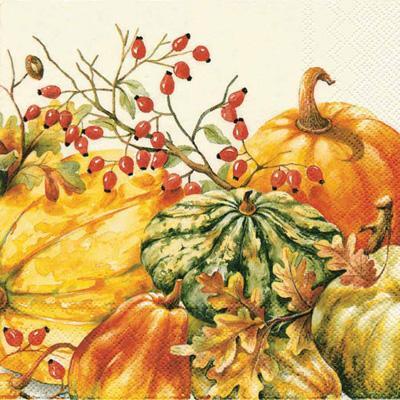 Calabaza Cocktail Napkins