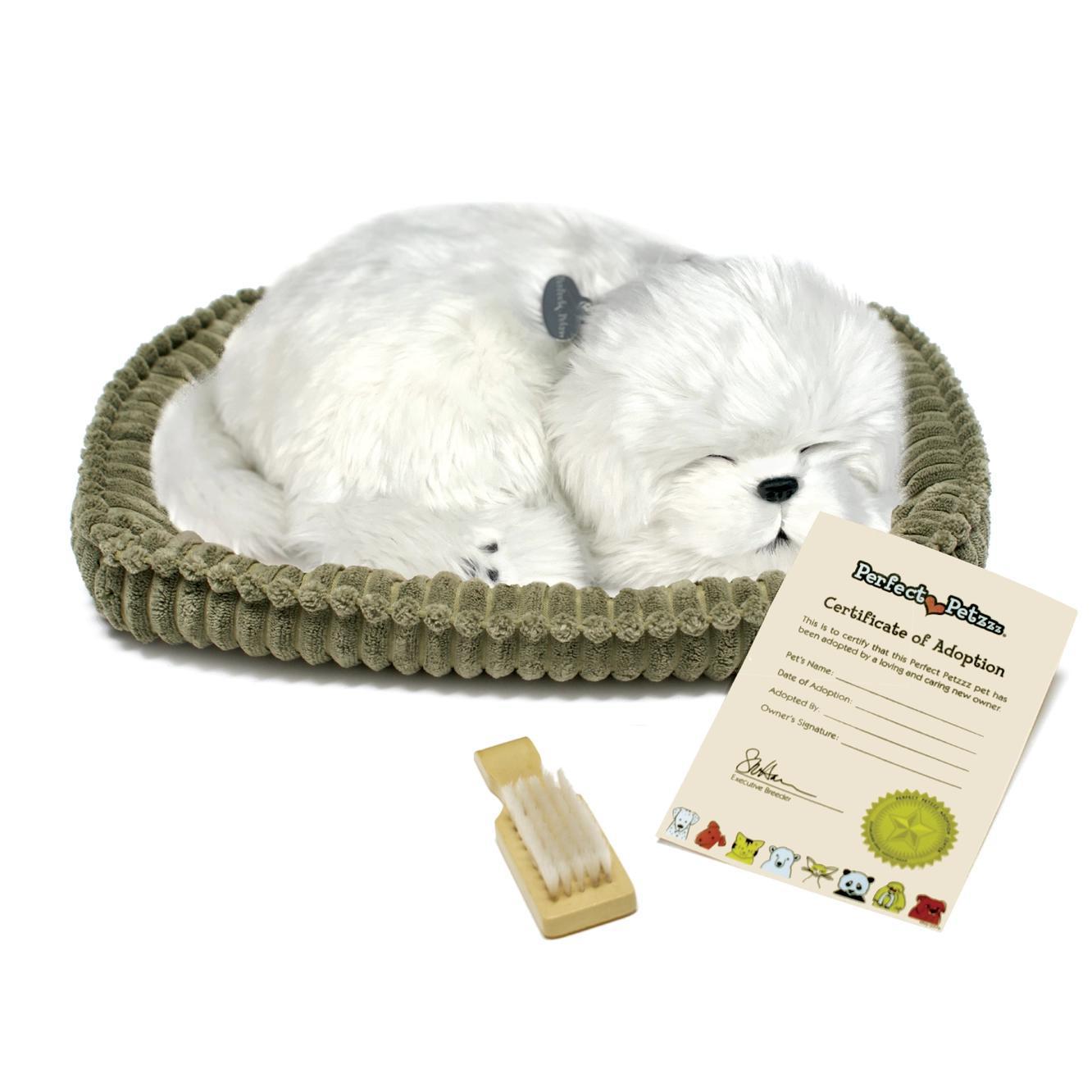 Perfect Petzzz Originals