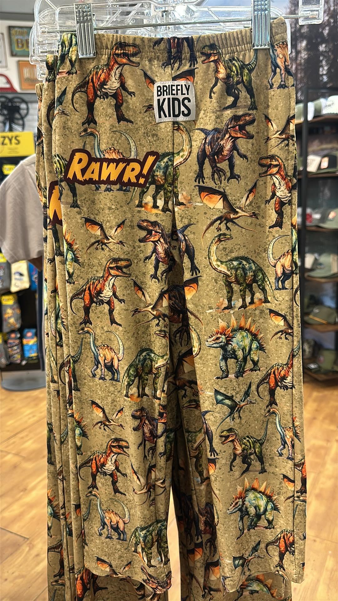 Briefly Kids Dino Sleep Pants