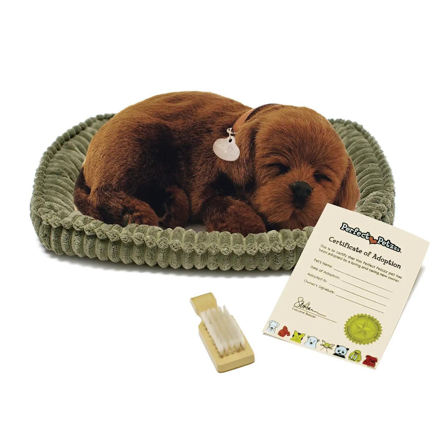 Perfect Petzzz Originals