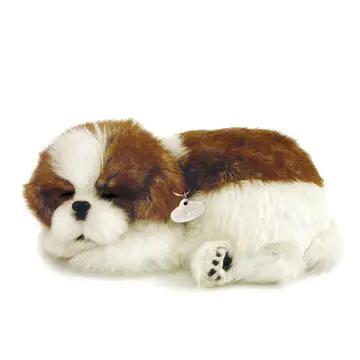 Perfect Petzzz Originals