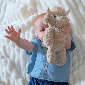Putty Nursery Highland Cow