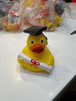 Academician Rubber Duck