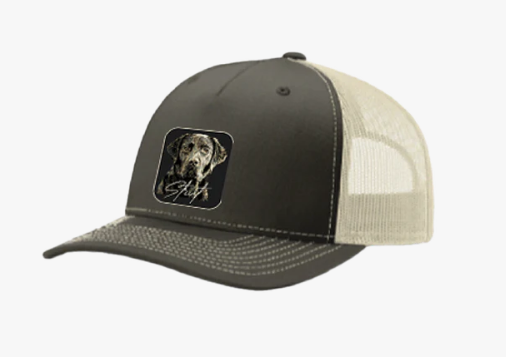 Lab Portrait Patch Hat in Brown/Khaki