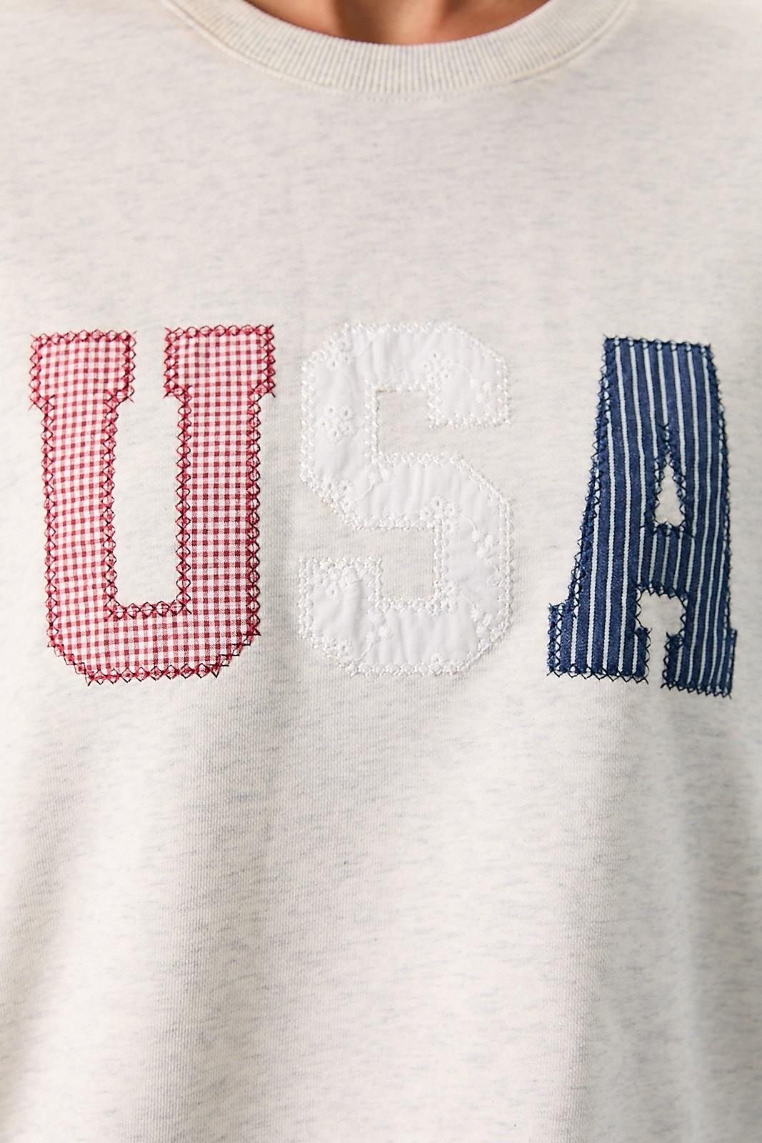 Crew Neck Long Sleeve "USA" Novelty Sweatshirt