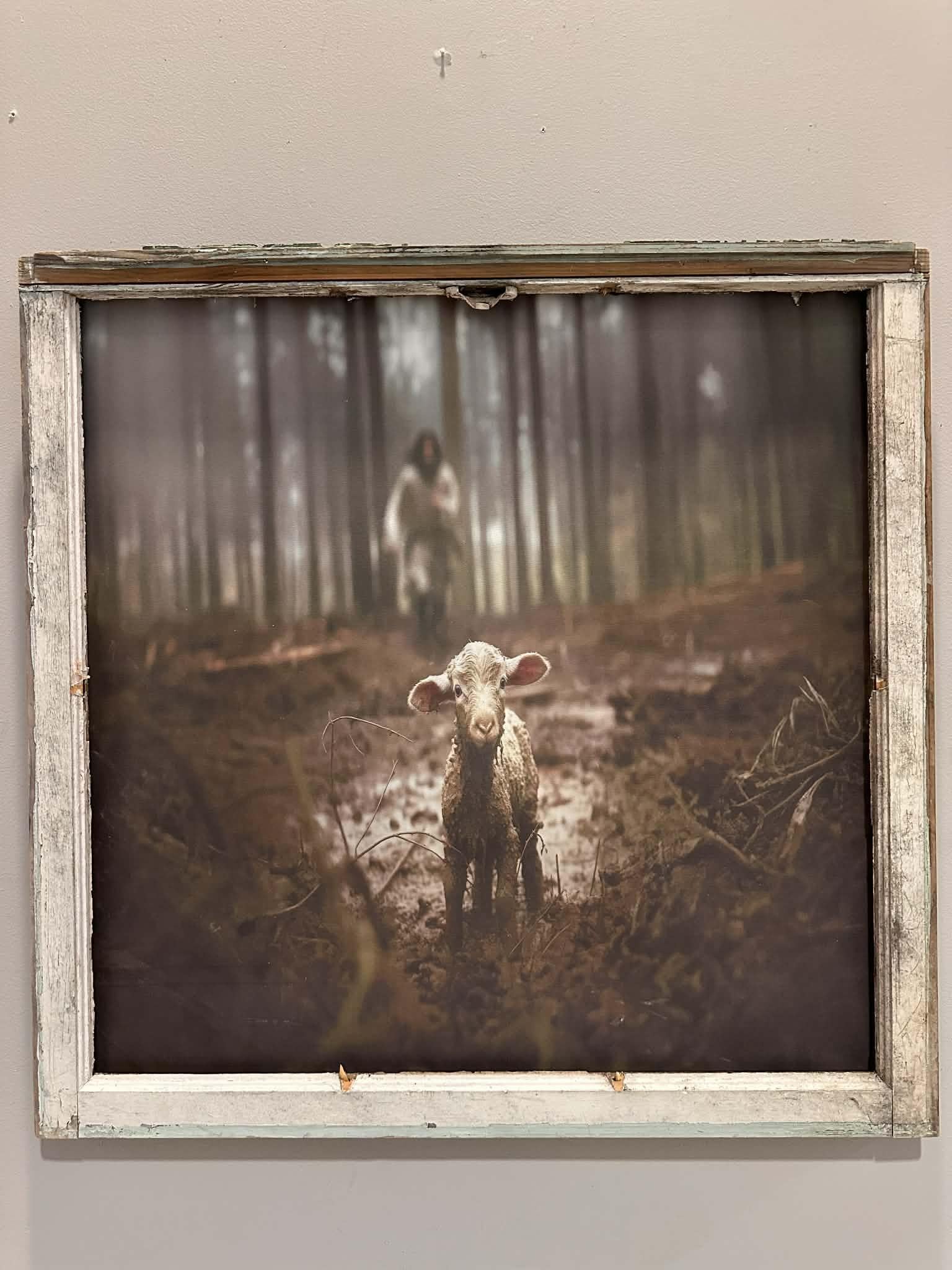 Sunday Paper - Parable of The Lost Sheep Picture