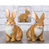 Field Bunny Sitter