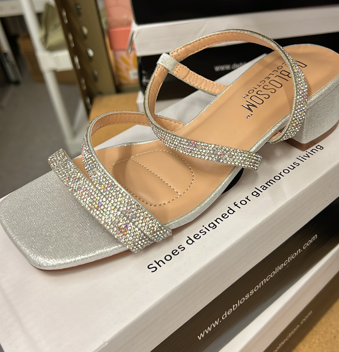 Cynthia Silver Shimmer Shoes