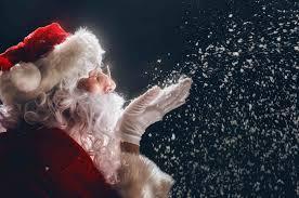 Check/Fur Holiday Tree Skirt