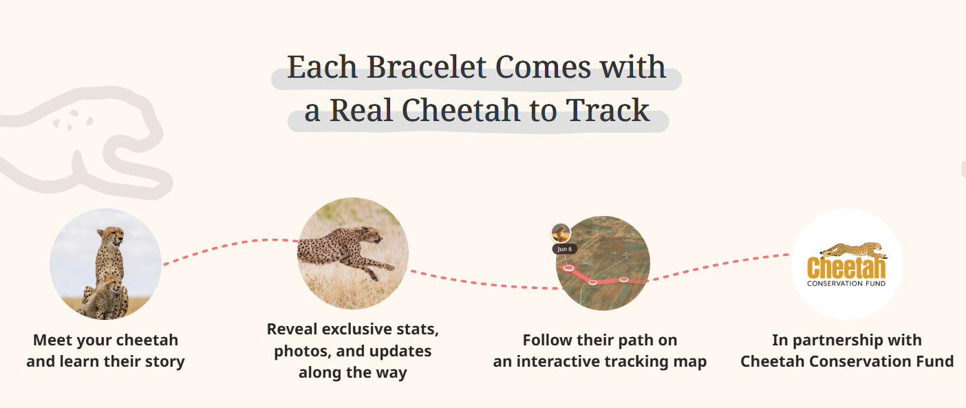 Fahlo - The Sprint Bracelet