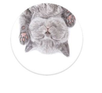 Cat Nap Pop Socket