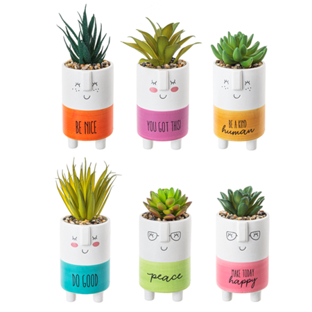 Kindness Pot W/ Plant