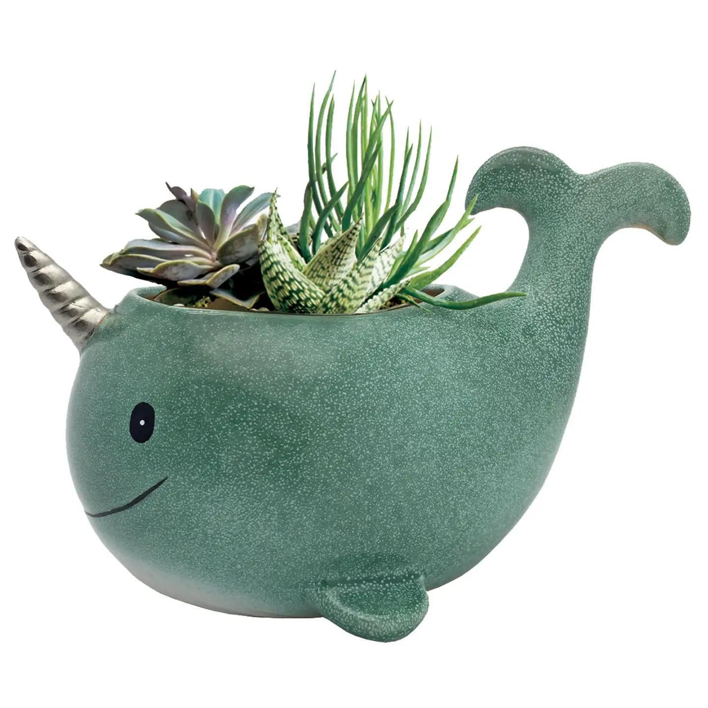 Narwhal Planter