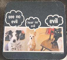 See No Evil Coaster