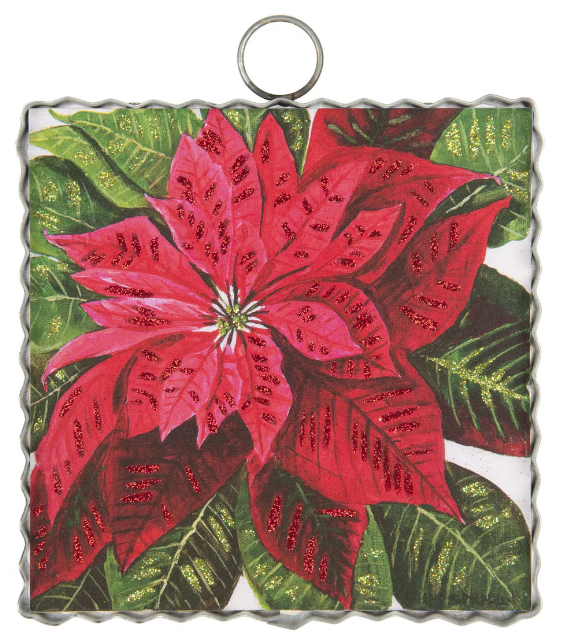 Mini Gallery Brilliant Poinsettia